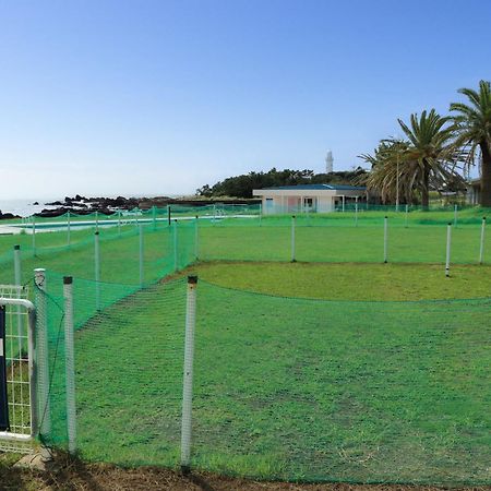 Shirahama Ocean Resort Тиба Экстерьер фото